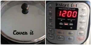 Fermenting batter in instant pot