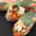 Summer Rolls