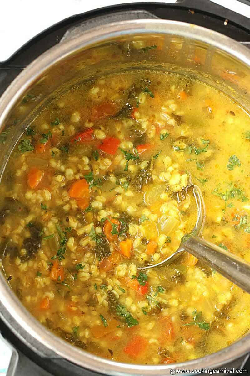 Instant Pot Barley Soup