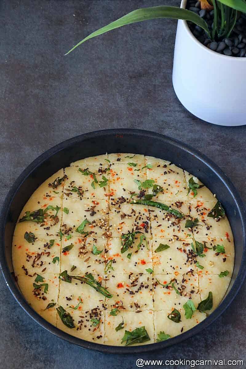 Dhokla in a pan 