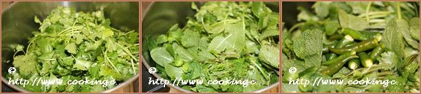 Mint Coriander Chutney