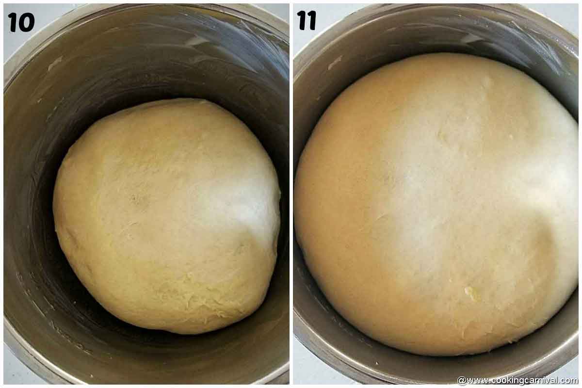 Proofing the dough in instant pot