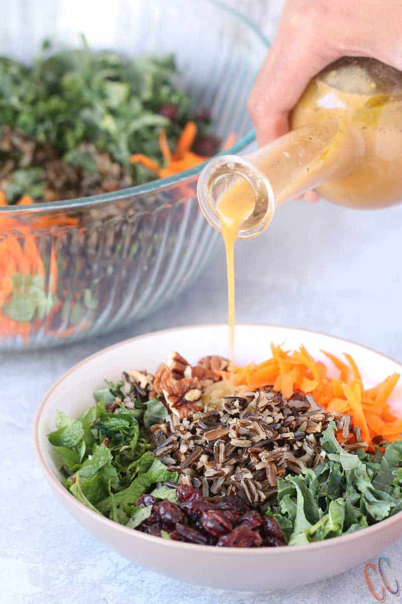 Orange Vinaigrette - A simple yet delicious, bursting with orange flavors, Vegan Vinaigrette for any Salad. This Orange Vinaigrette Recipe takes less than 10 minutes to make with very few ingredients! It is Bright, light and flavorful.