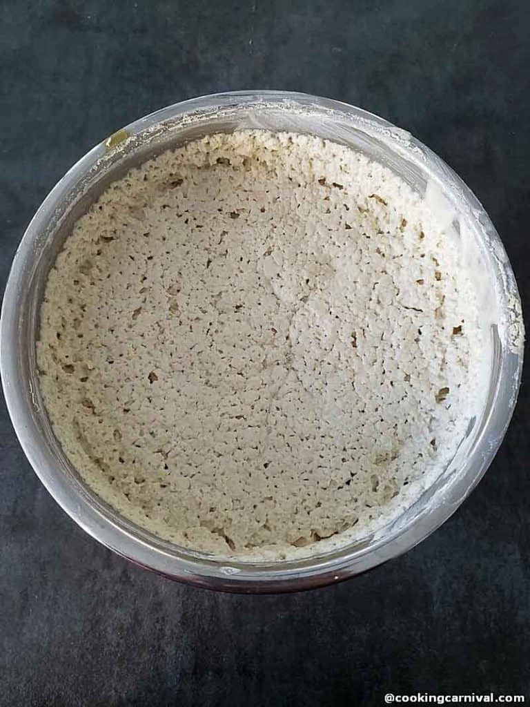 fermented idli batter