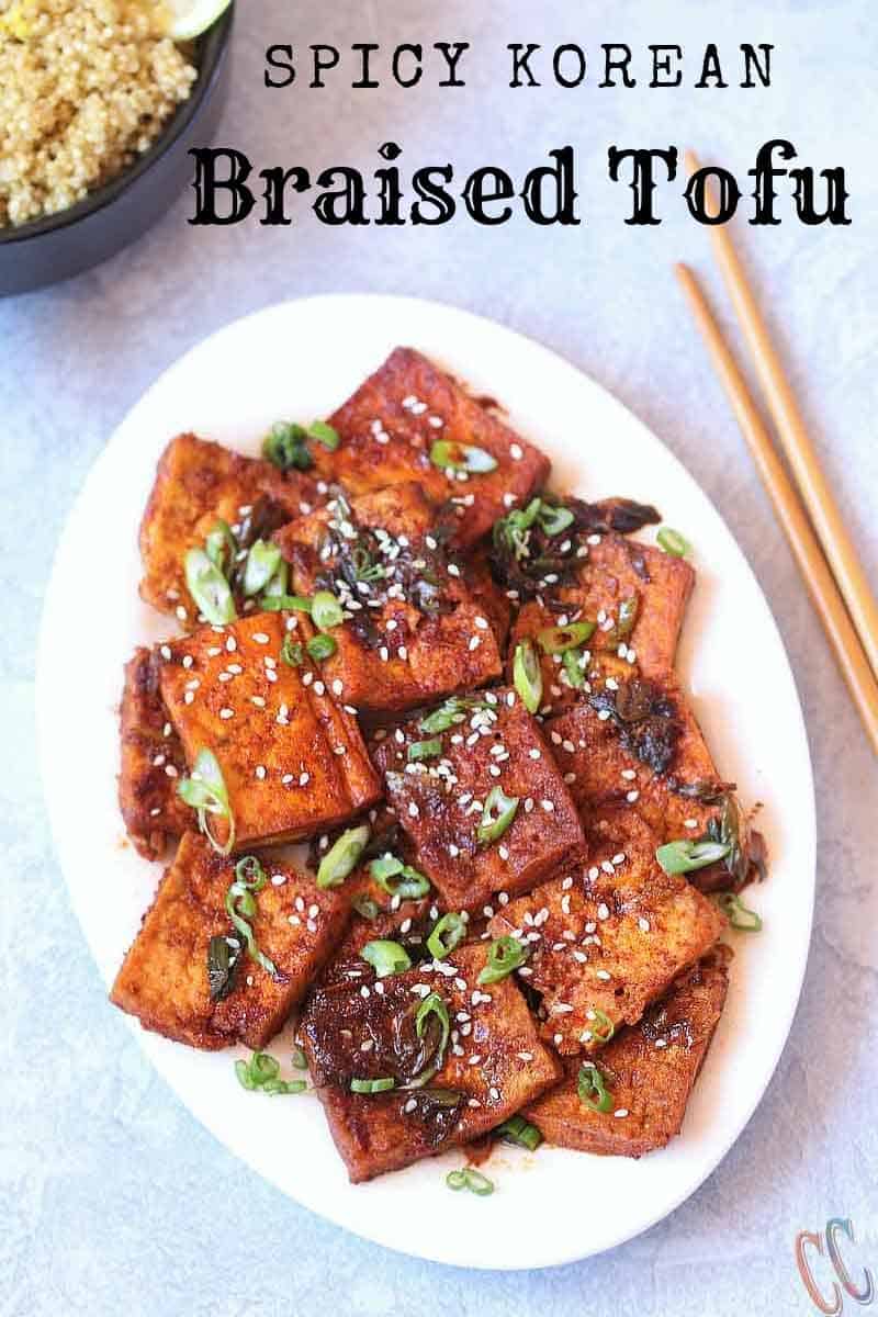 Spicy Braised Tofu / Dubu Jorim - A traditional Korean dish made with pan fried tofu, braised in a savory-spicy sauce with green onions and garlic. It's juicy, a little spicy and delicious. It is the best Korean Side Dish served with Rice, Noodles or with Coconut Quinoa.