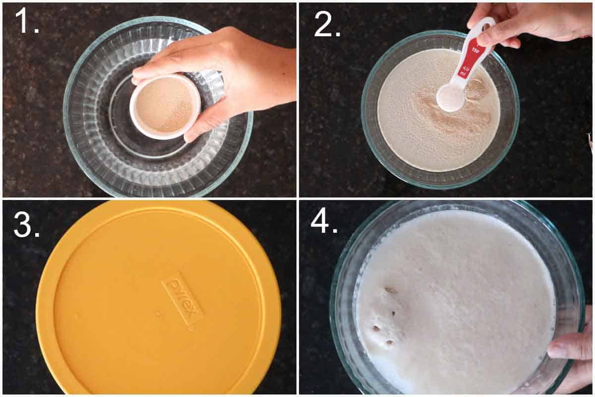 Step by step process of proofing the yeast