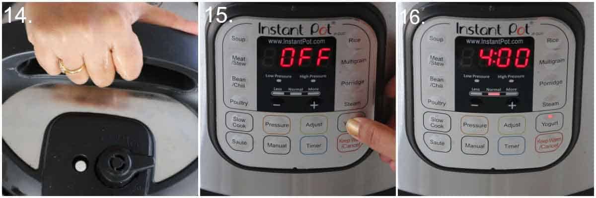 Proofing bread dough in instant pot