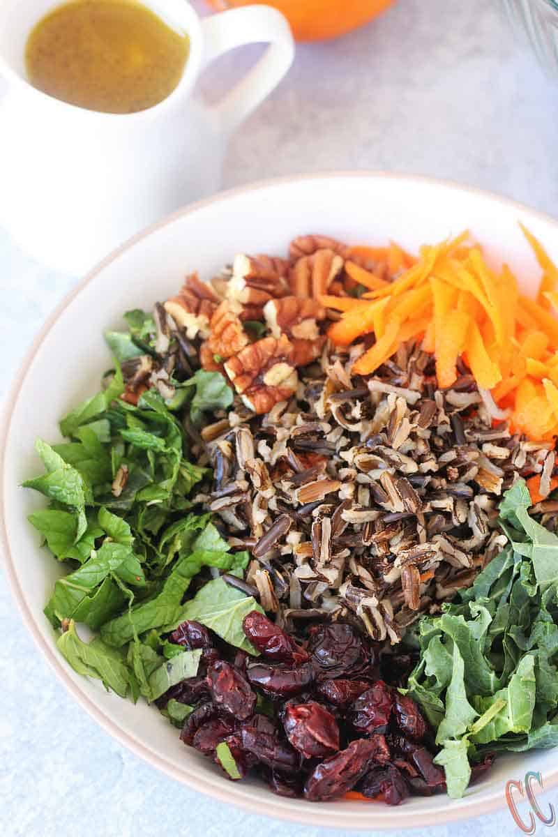 Wild Rice Salad - Scrumptious, Bursting with citrus flavors, Loaded with Vitamin C rich Kale and Vitamin A rich Carrots, lots of Pecans and cranberries for extra crunch and taste, Vegan Salad recipe that can be enjoyed at any time of the year.