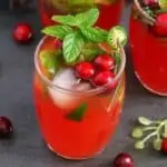 Blood Orange Cranberry Jalapeno Mojito