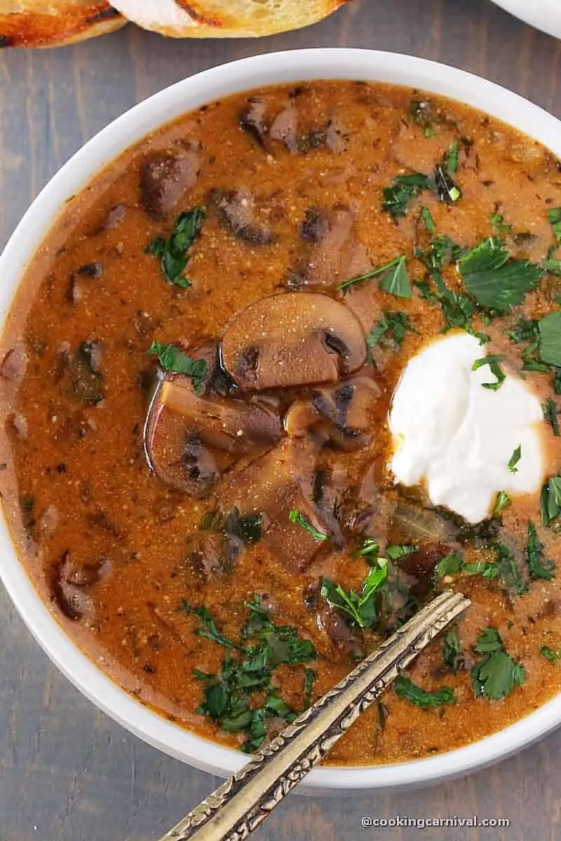 Hungarian Mushroom Soup from top angle