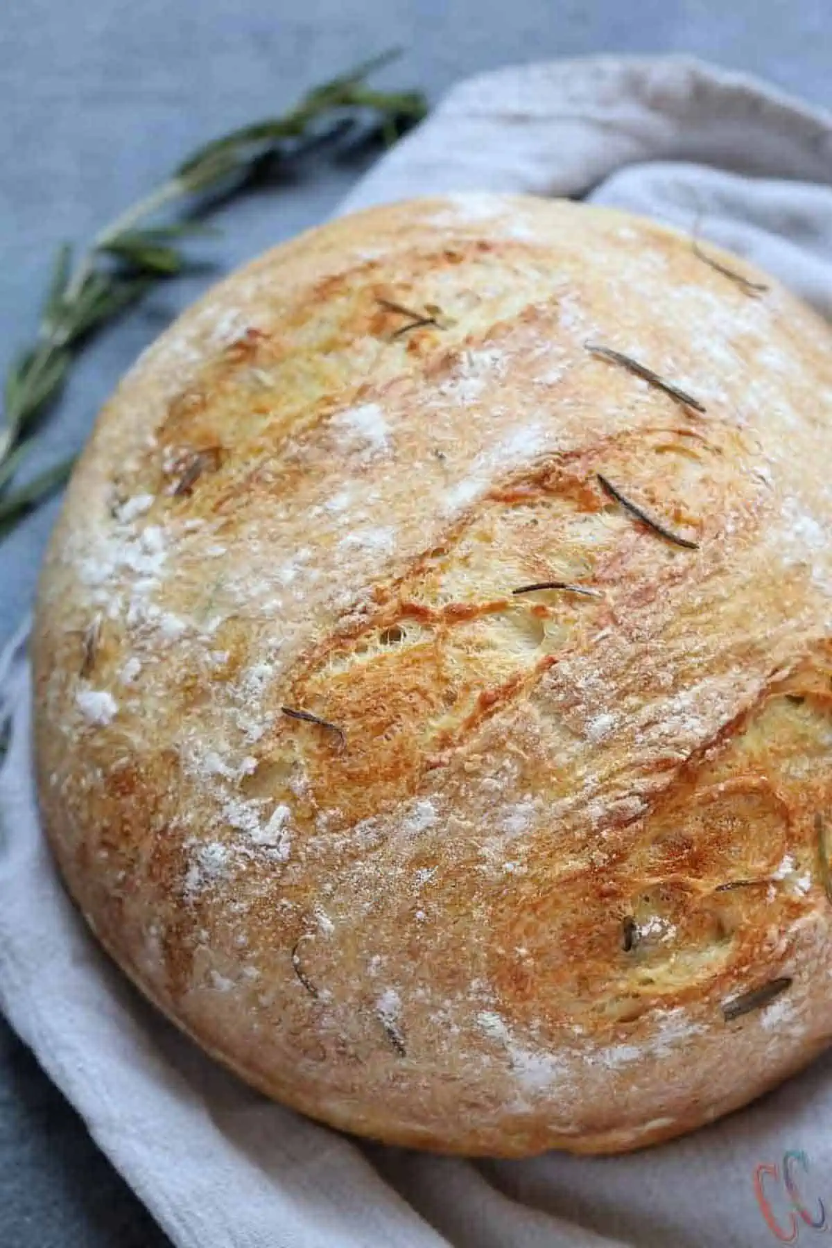 instant pot no knead bread