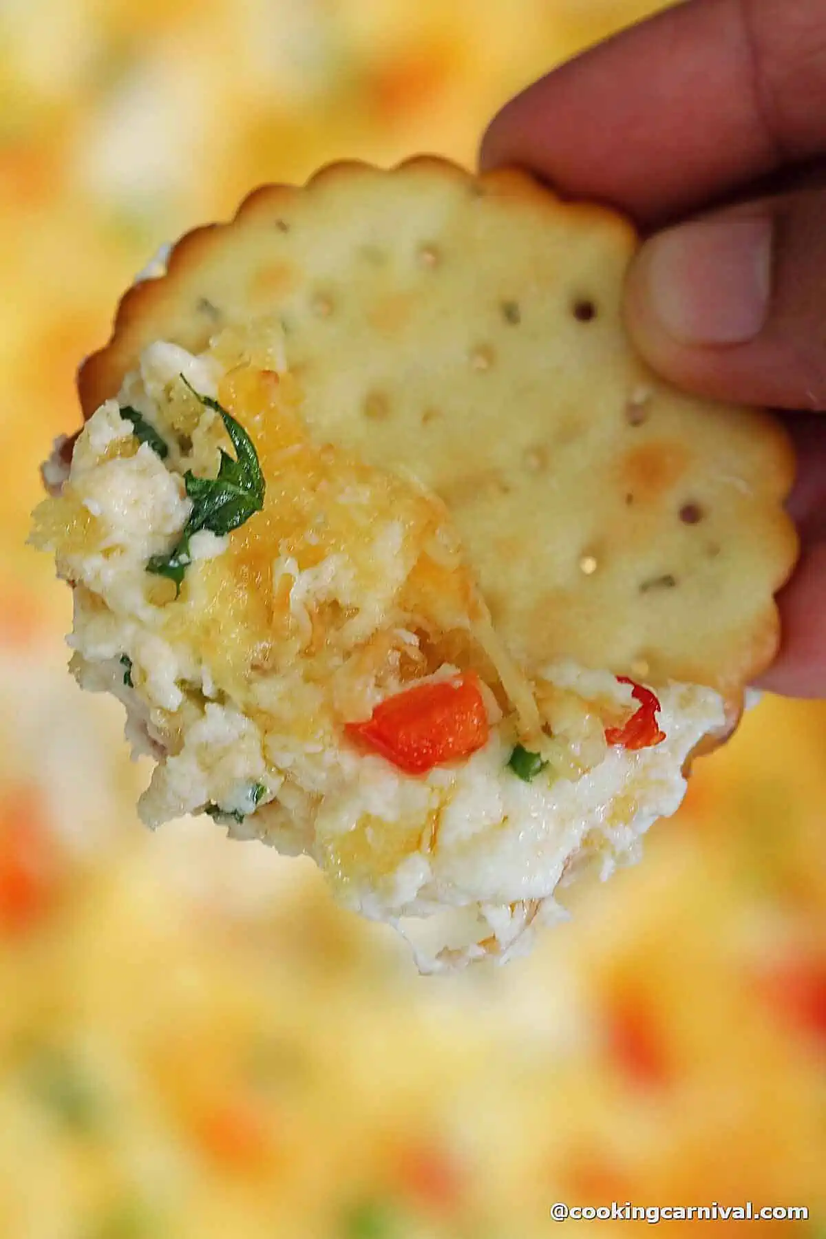 jalapeno popper dip on a cracker,