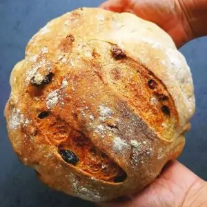 no knead cranberry walnut bread