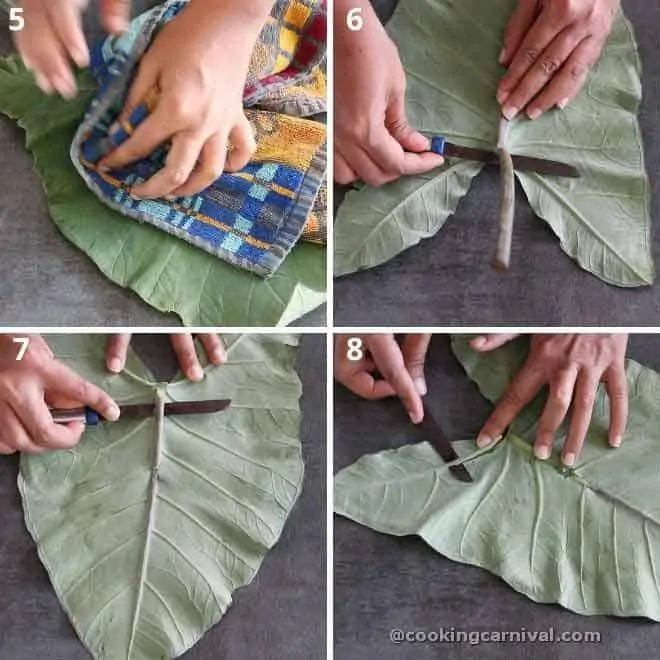 collage of removing veins from patra leaf