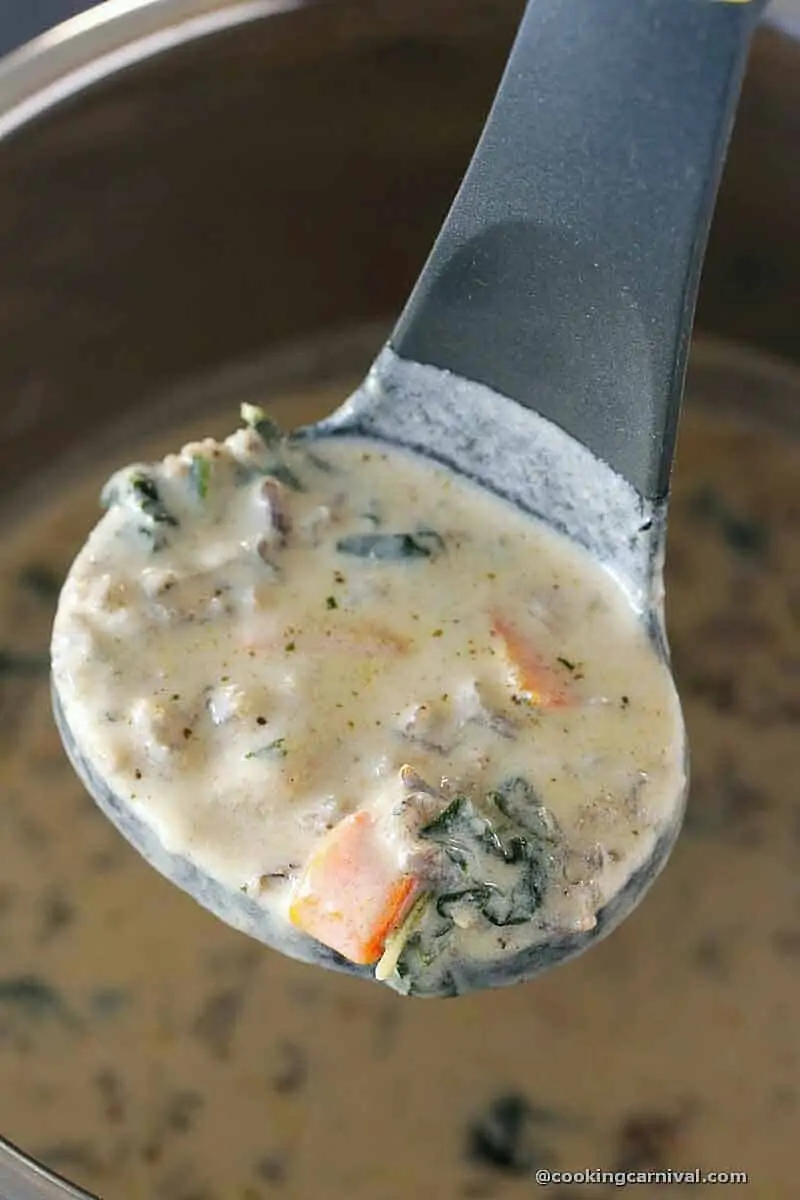 ladle full of Vegetable Wild Rice Soup